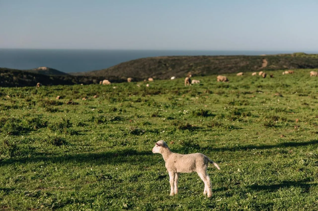 Venkovský dům Penzion Casa Nook Sagres Vila do Bispo